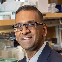 Vijay Sankaran